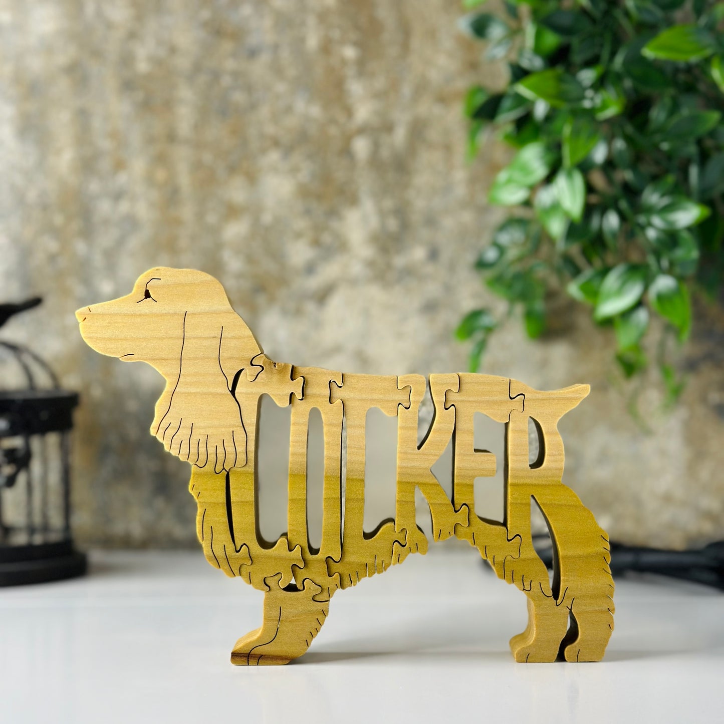 Cocker (Spaniel)