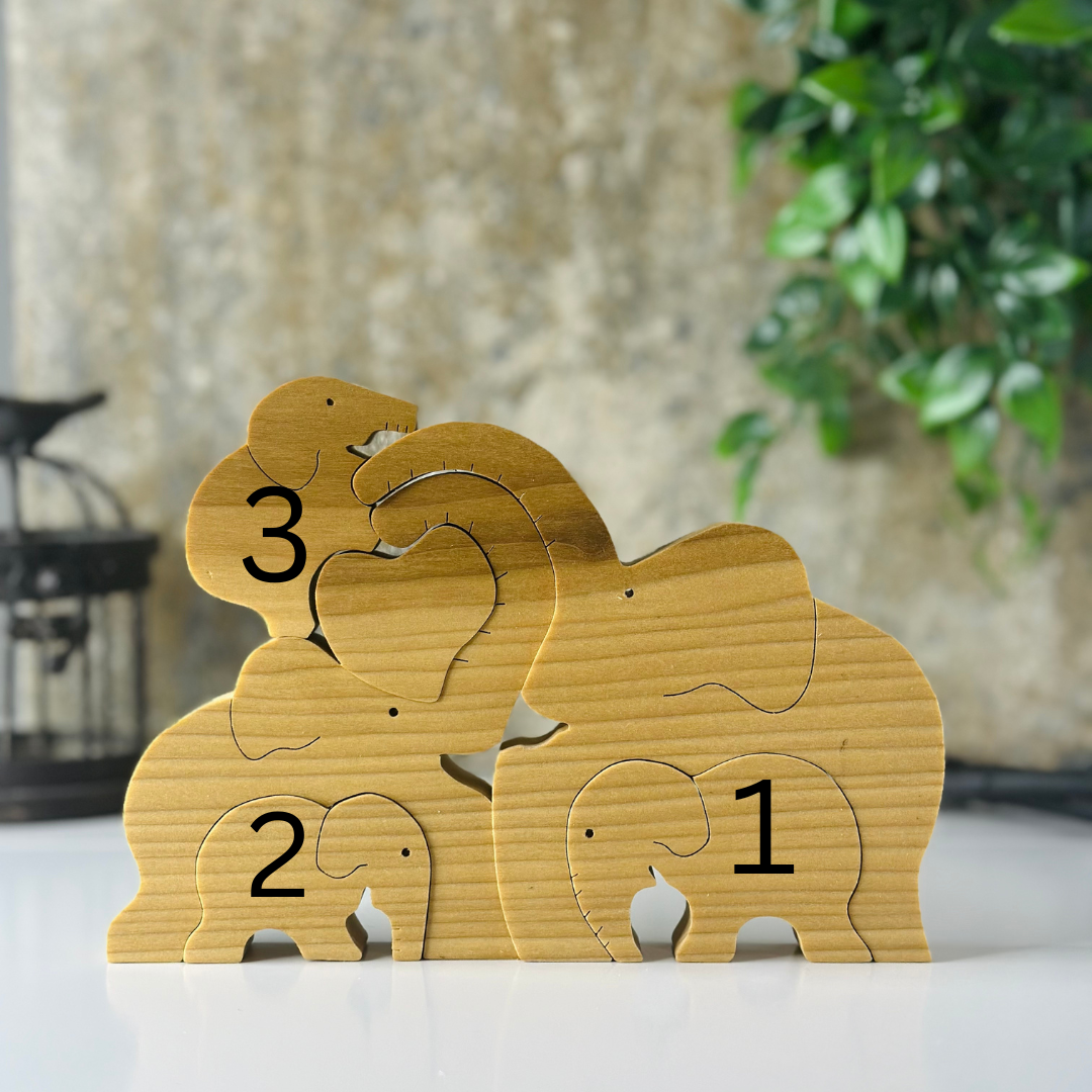 Elephant Family