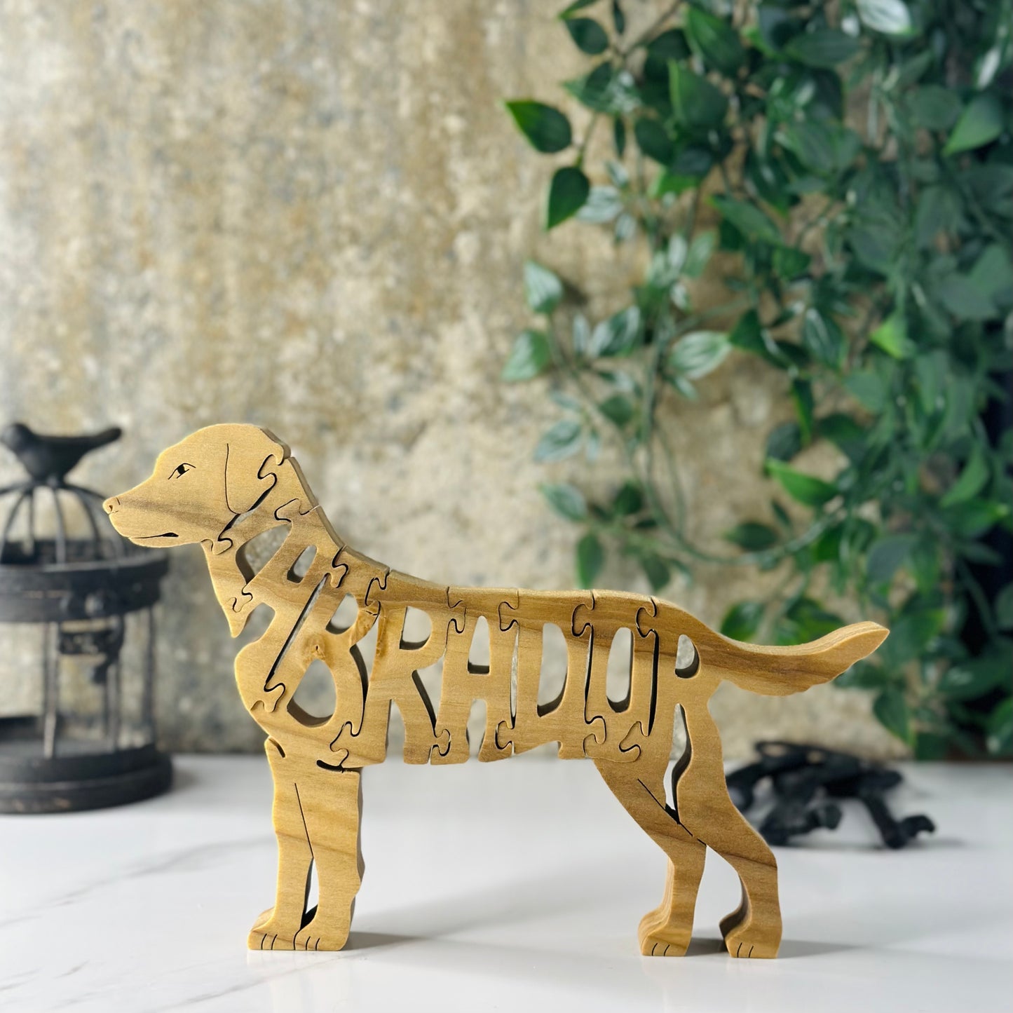 Labrador