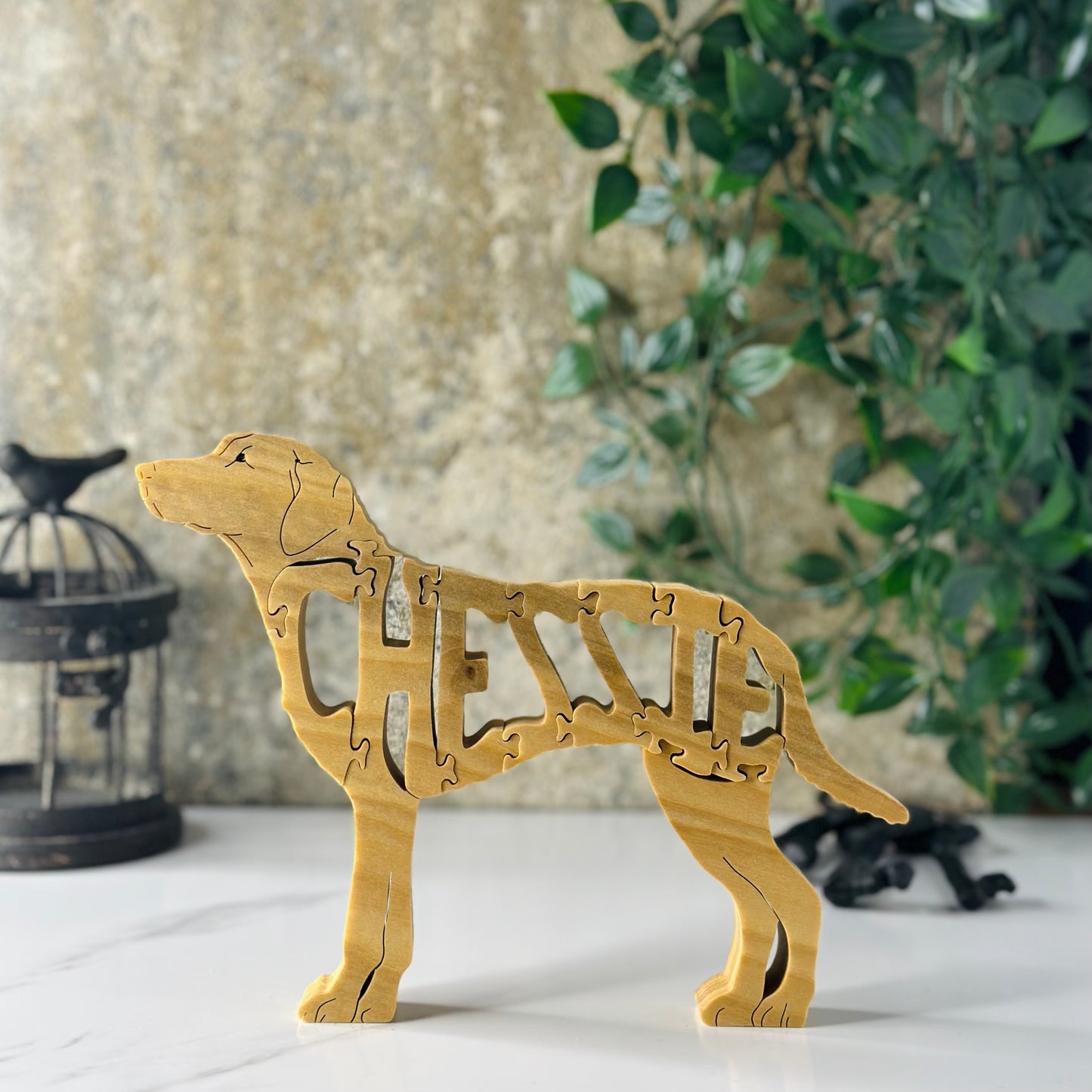 Chesapeake Bay Retriever (Chessie)
