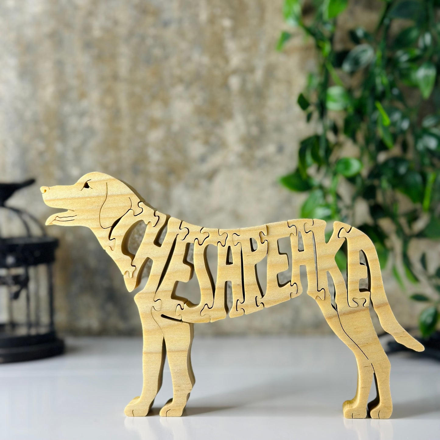 Chesapeake (Bay Retriever)