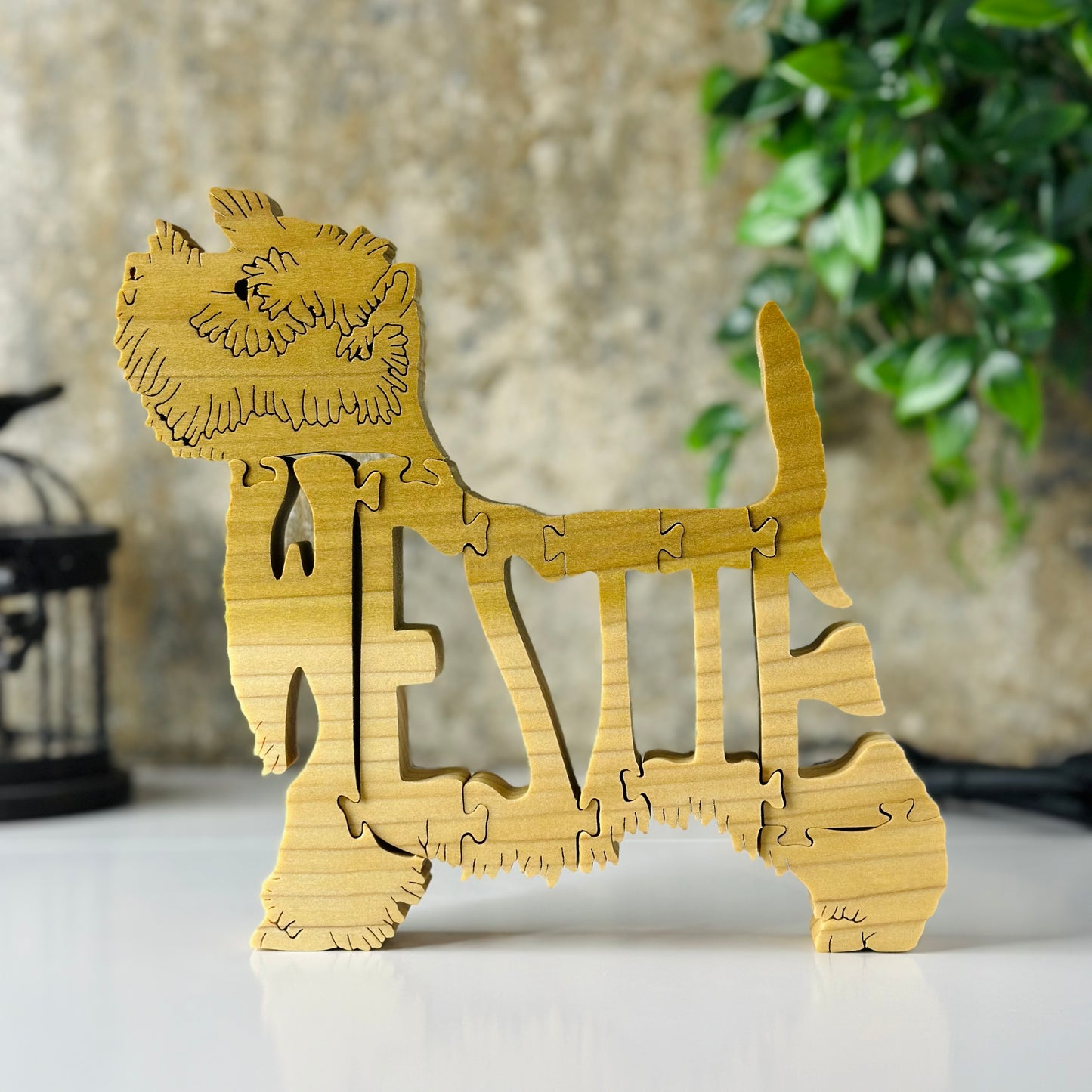 Westie (#2)