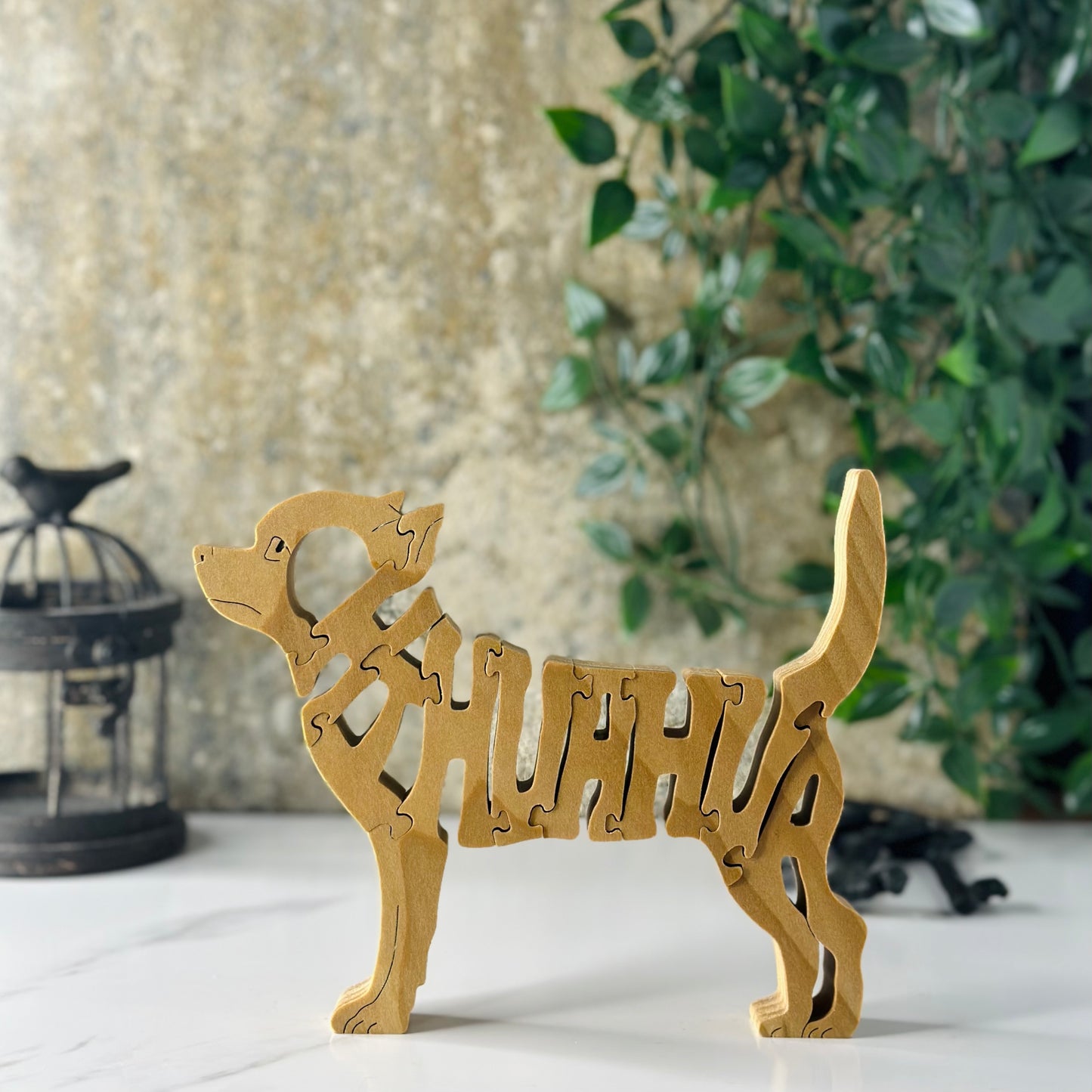Chihuahua (Shorthaired)