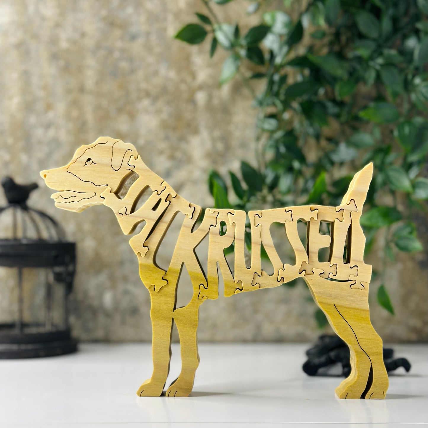 Jack Russell