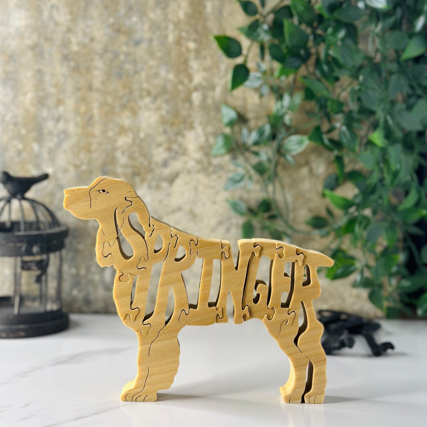 Spaniel