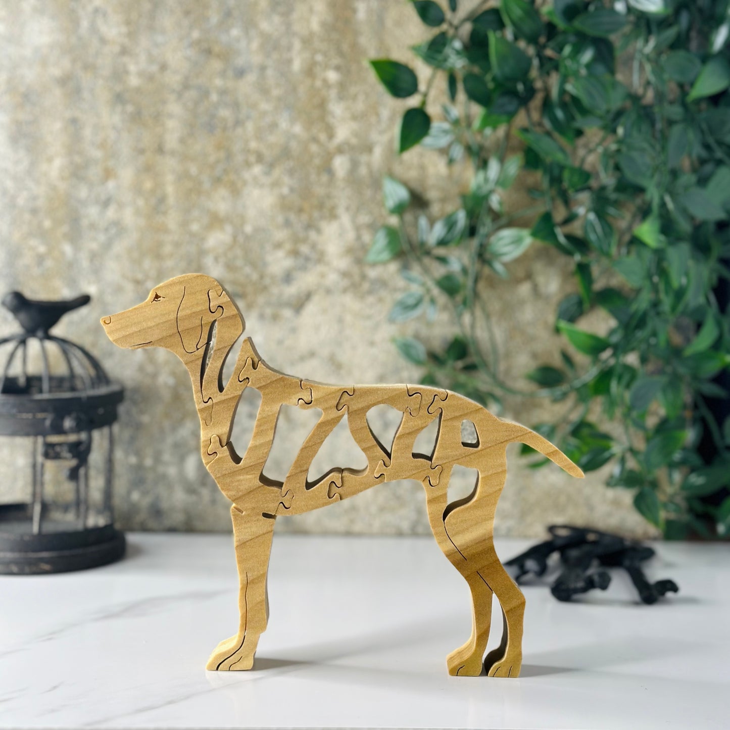 Vizsla