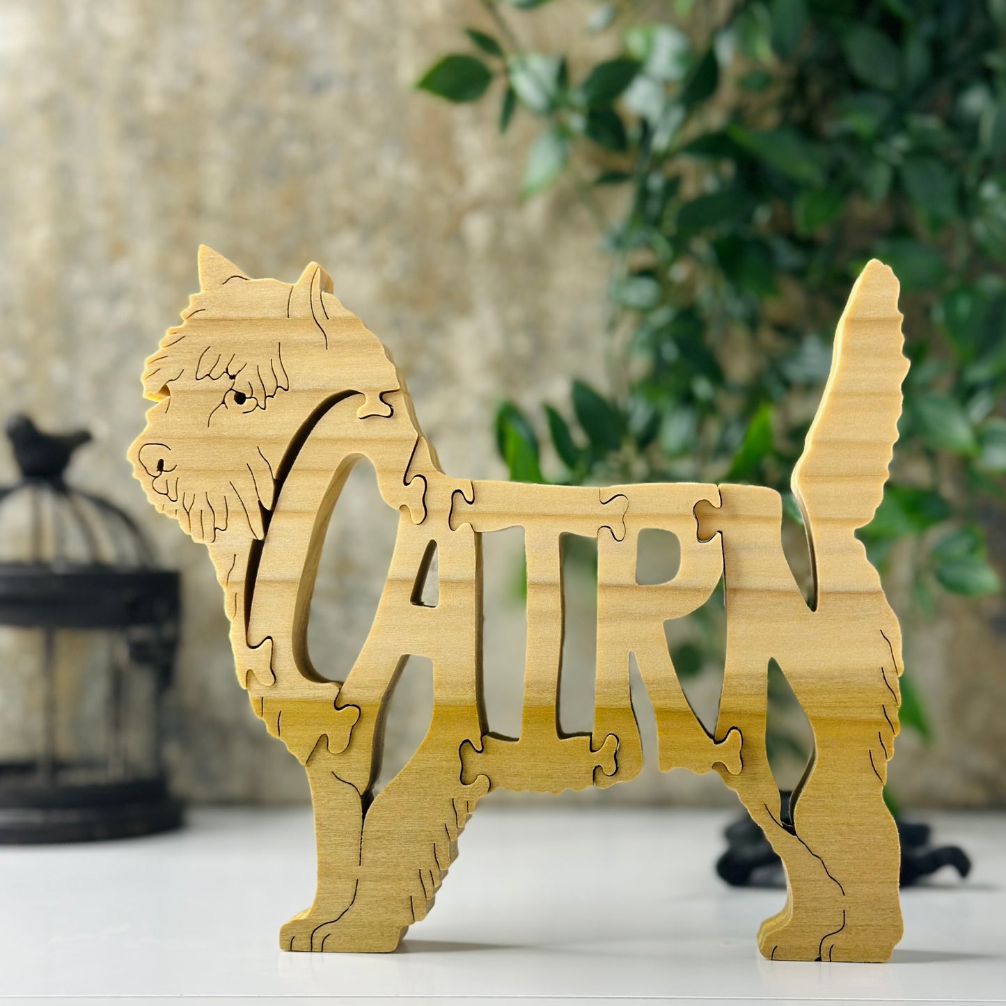 Cairn Terrier