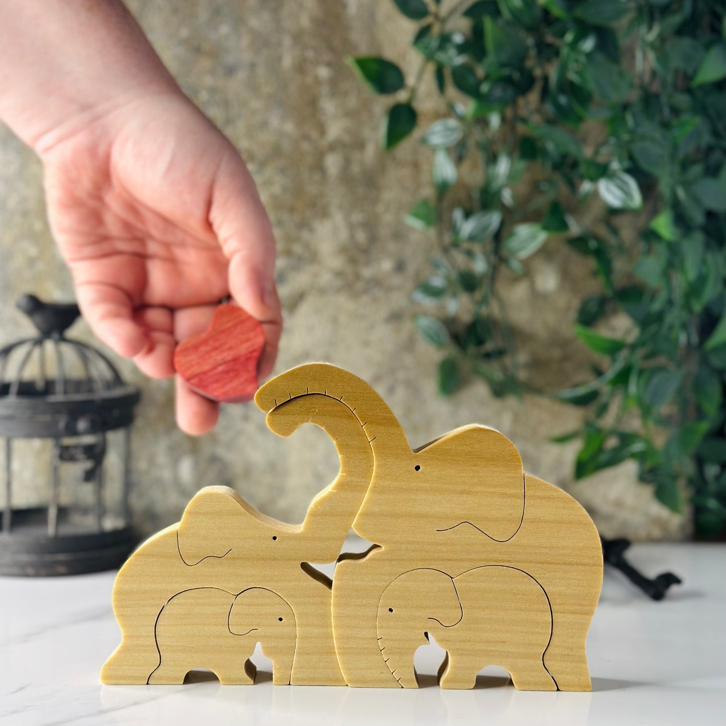 Elephant Family