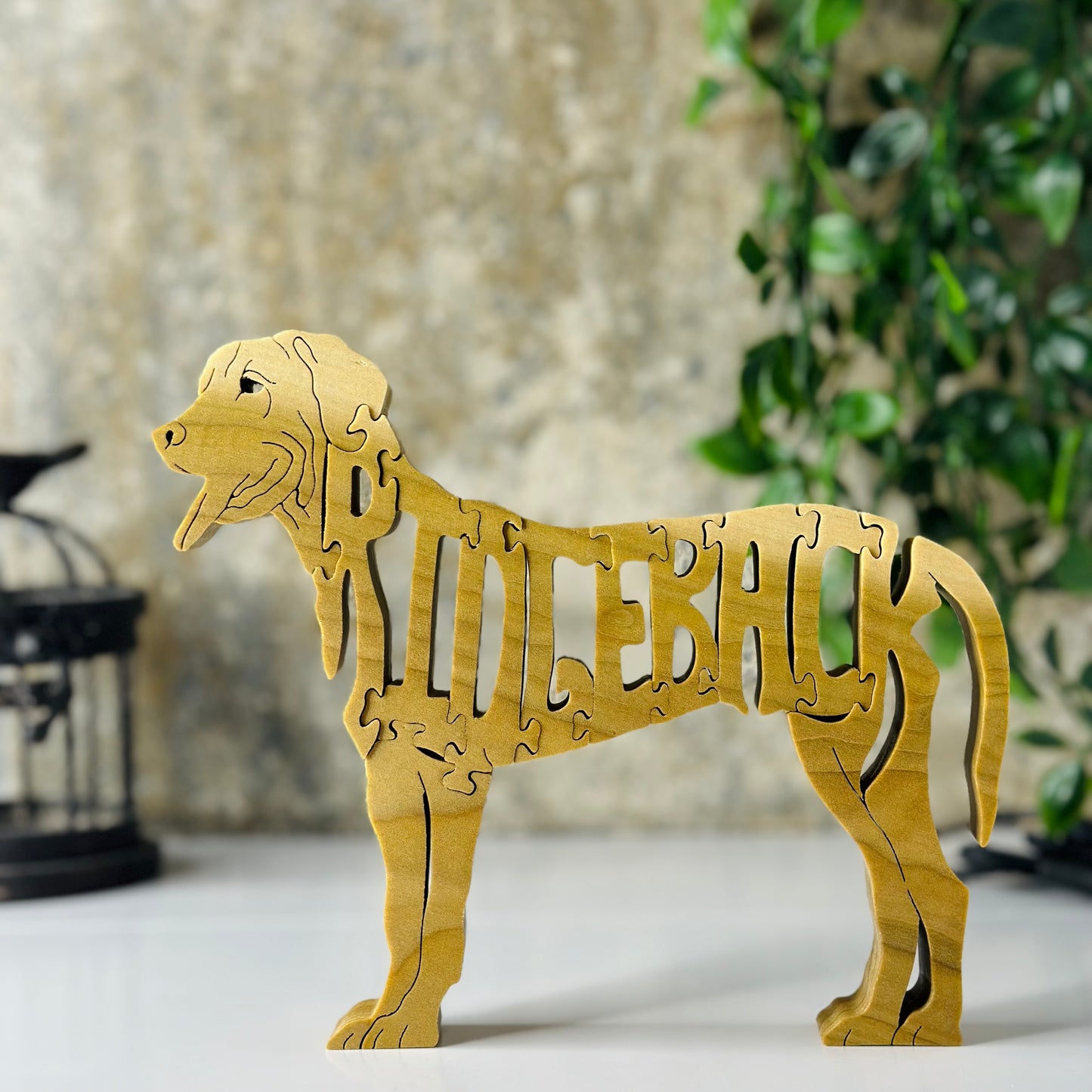 Rhodesian Ridgeback