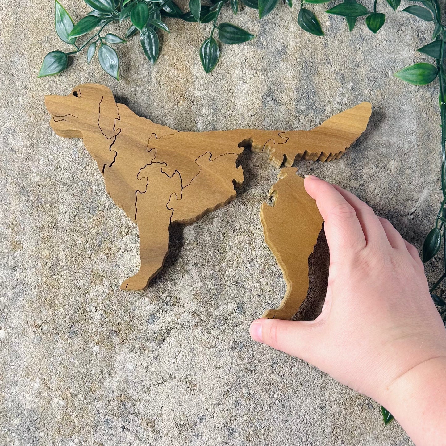 Dog Puzzles