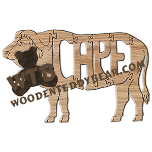 Cape Buffalo (African)