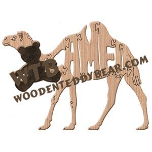 Camel (Dromedary)