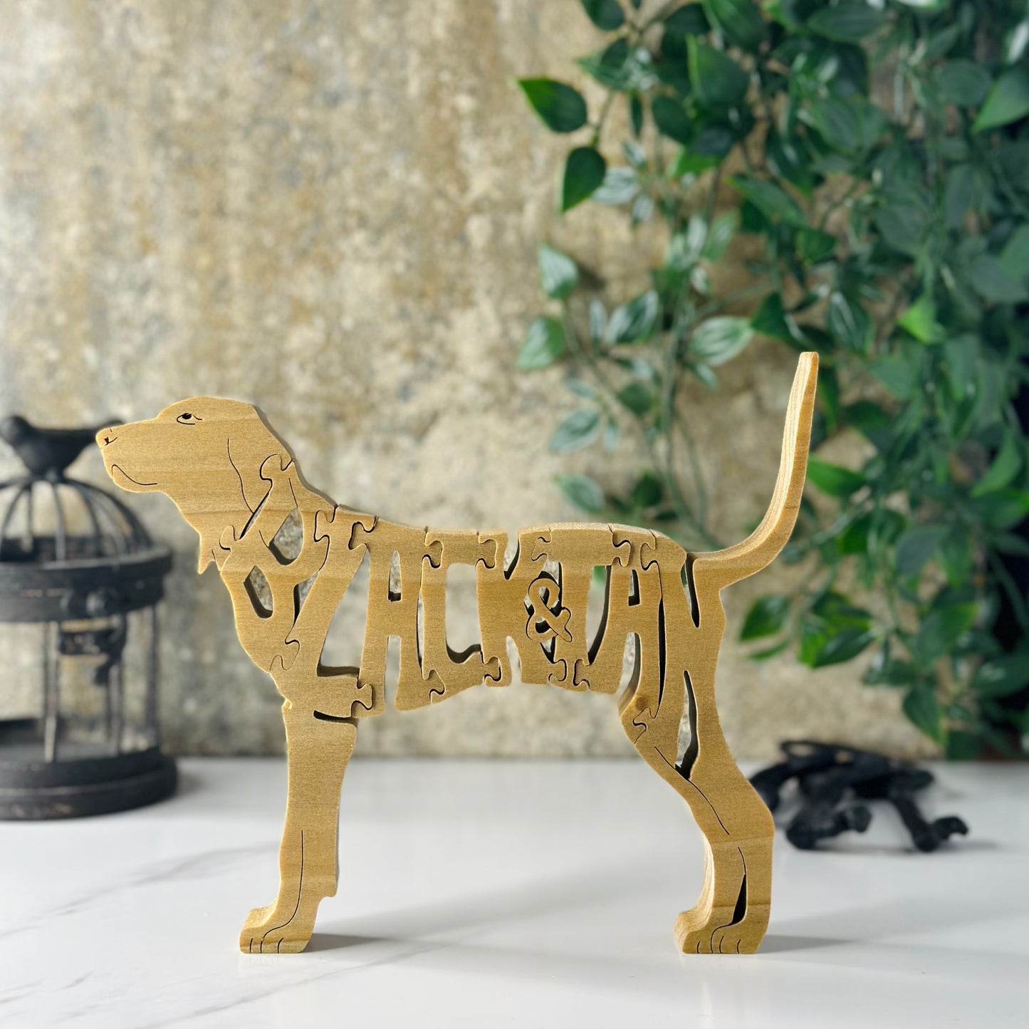 Coonhound (Black & Tan)