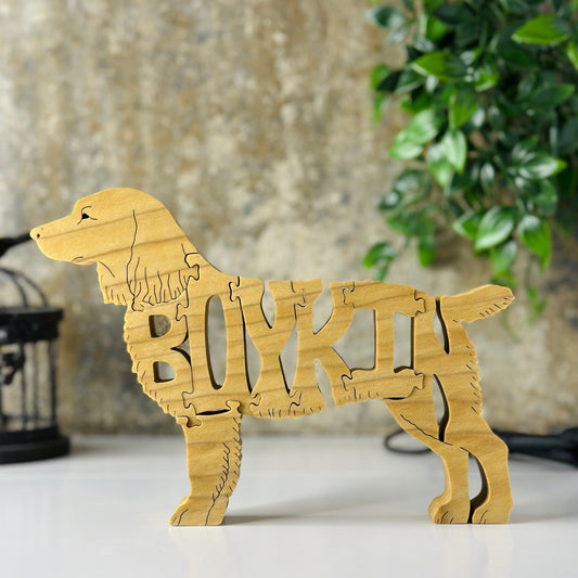 Boykin (Spaniel)