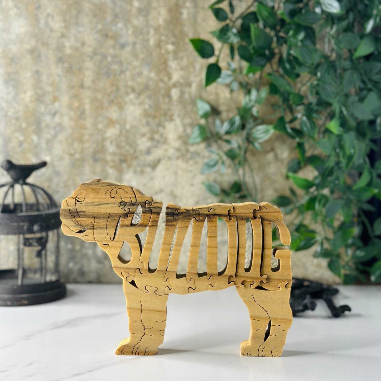 Bulldog (English)