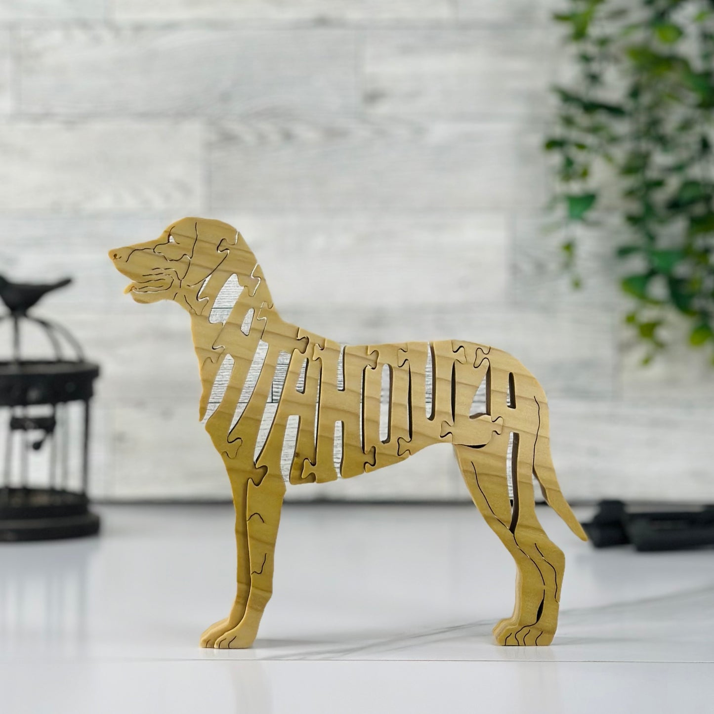 Catahoula (Leopard Dogs)