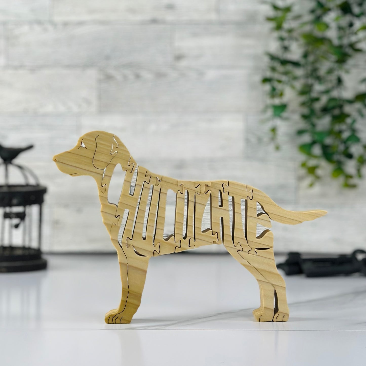 Labrador (Chocolate)