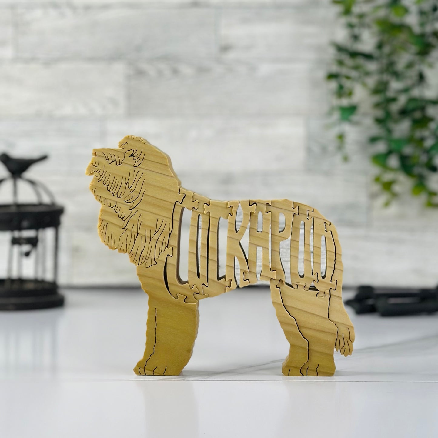 Cockapoo