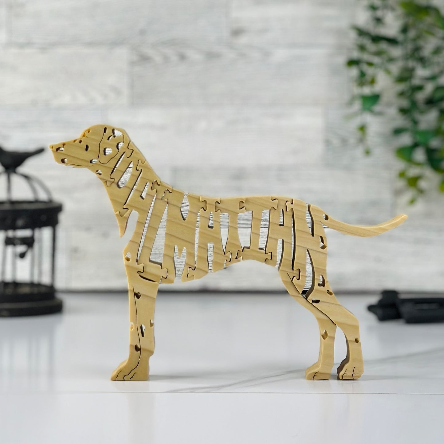 Dalmatian (with spots)