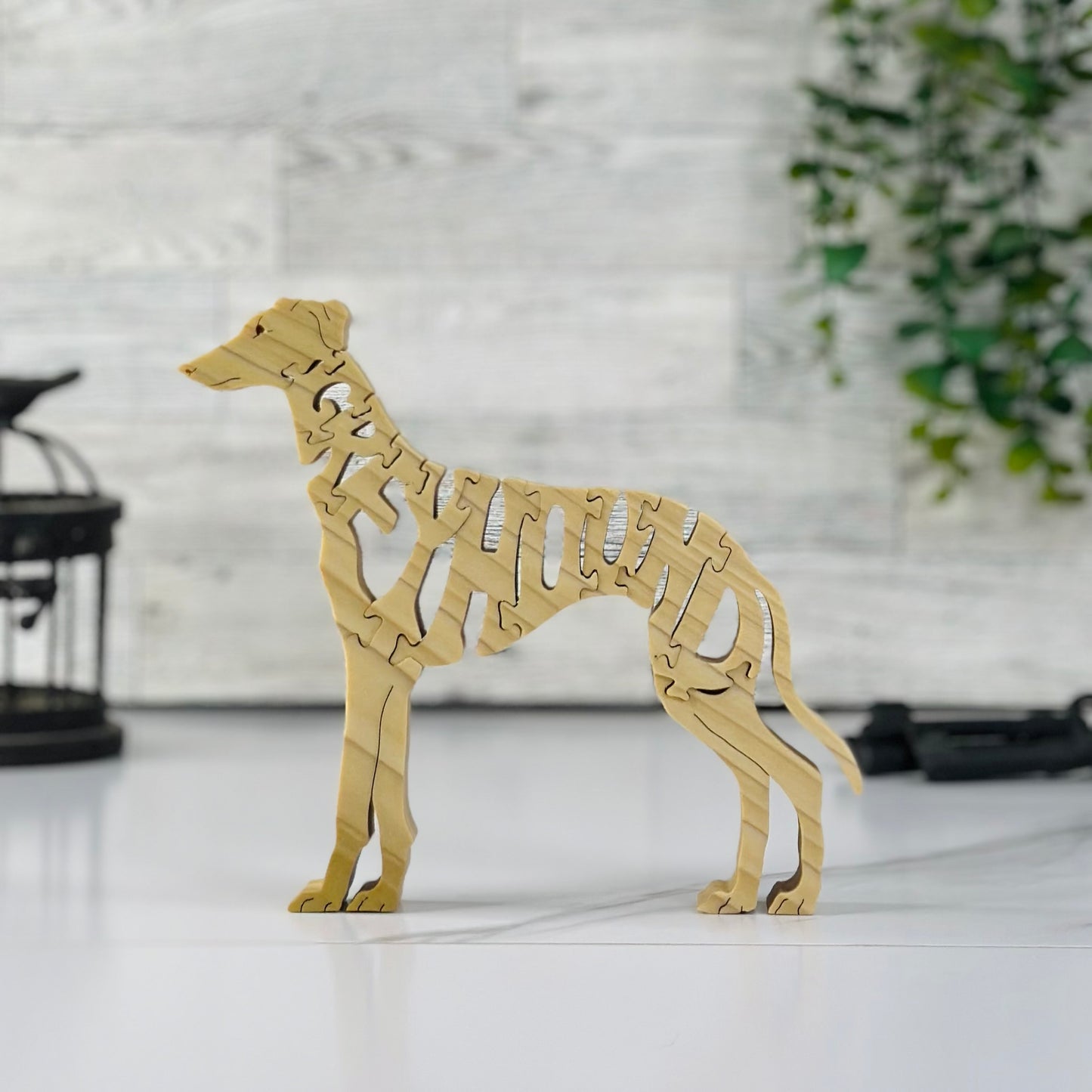 Greyhound