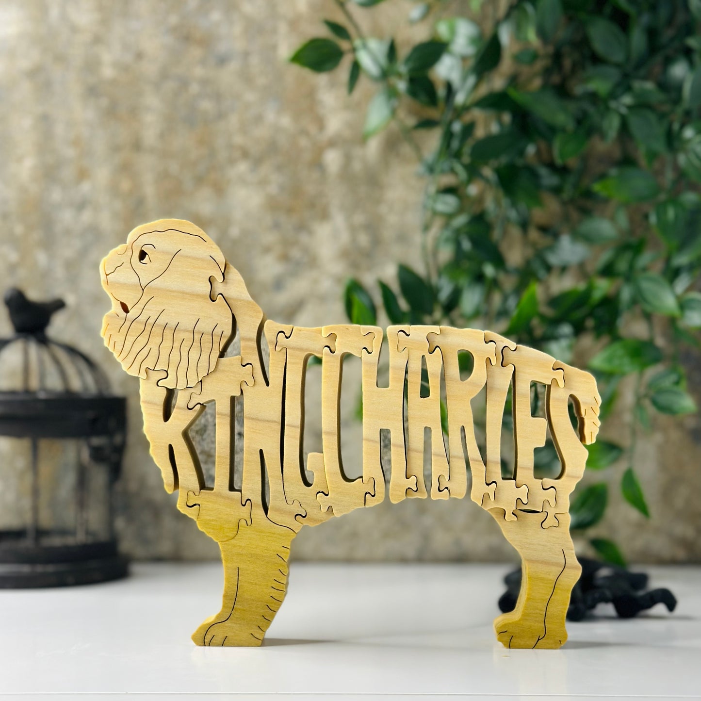 King Charles (Spaniel)