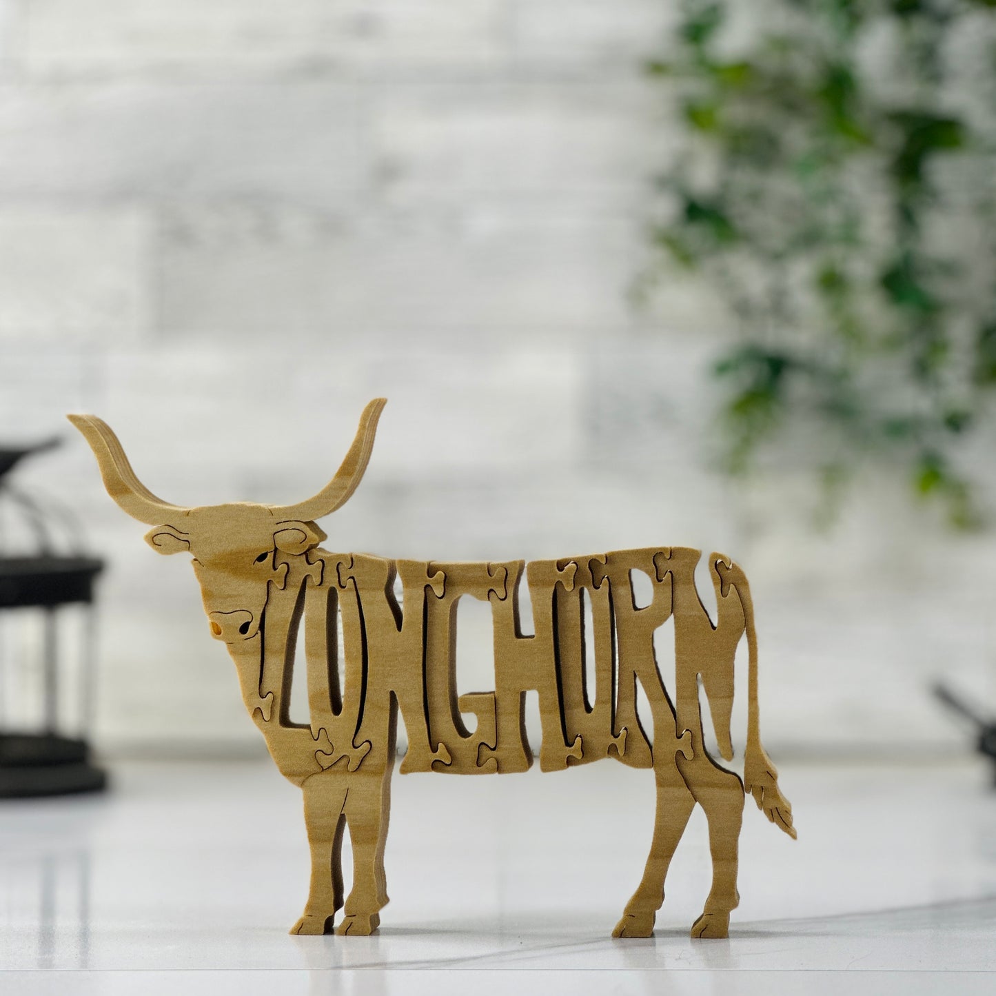 Longhorn (Cow)