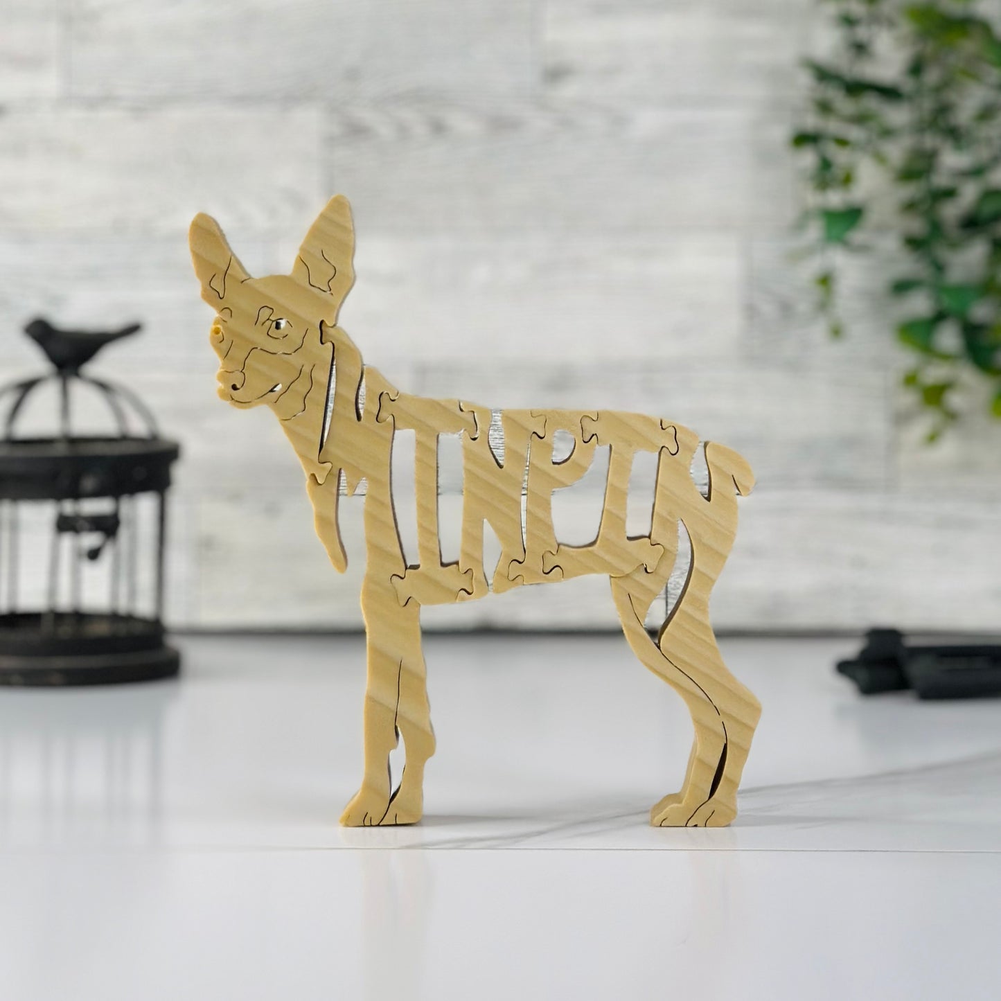 MinPin (Miniature Pinscher)