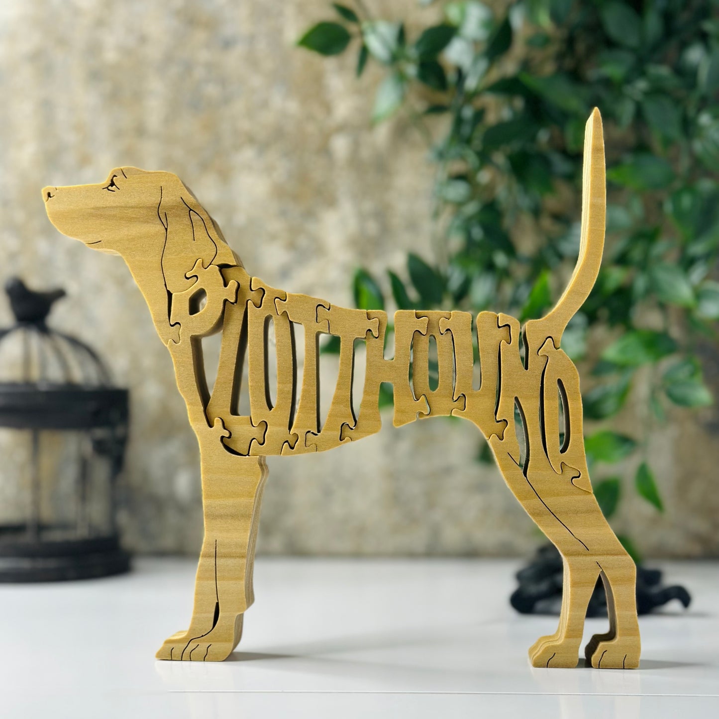 Coonhound (Plotthound)