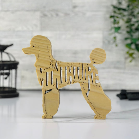 Poodle (Miniature)