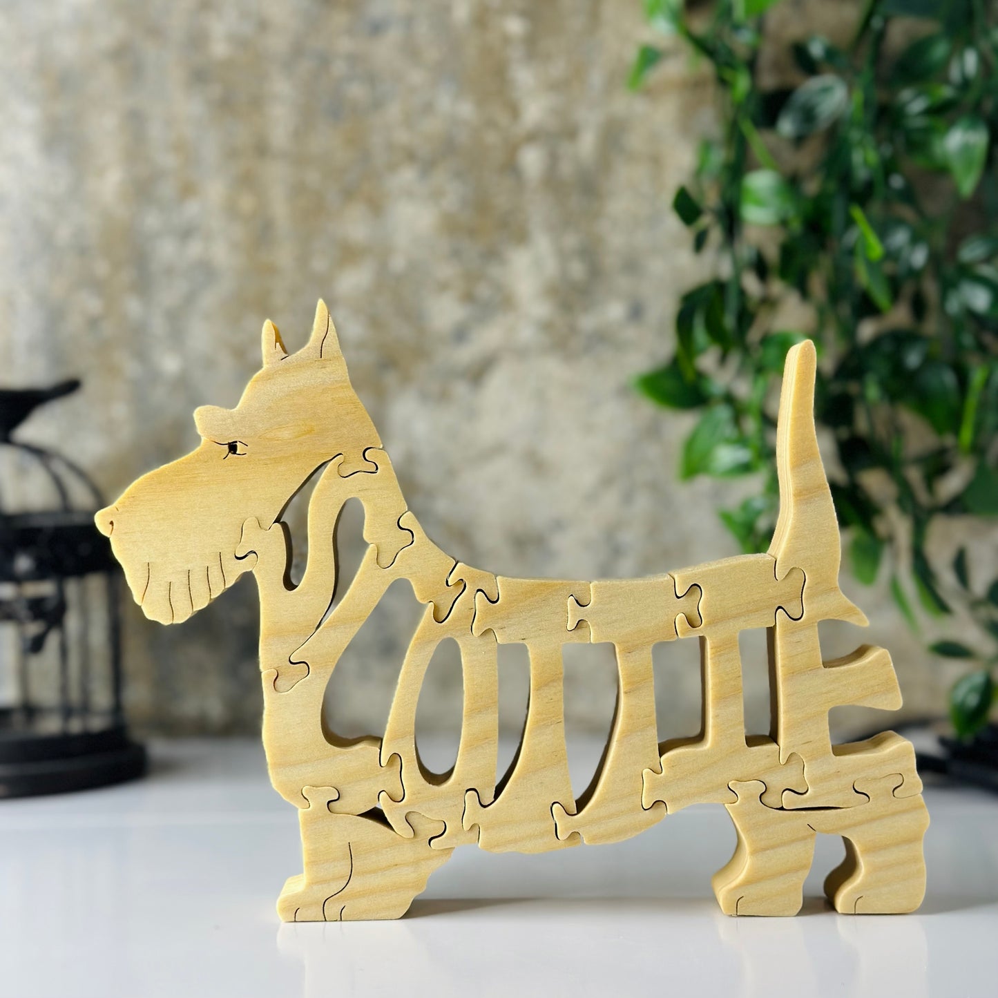 Scottish Terrier (Scottie)