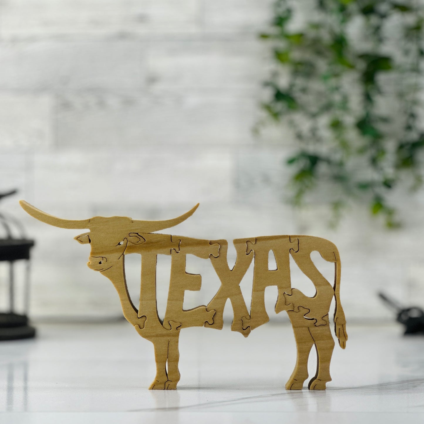 Texas (Longhorn)