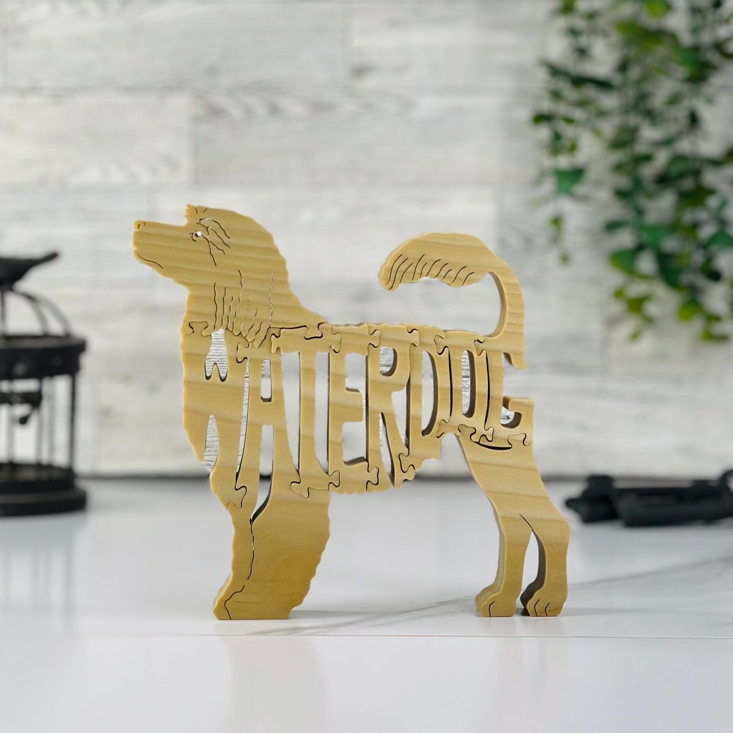 Portuguese WaterDogs