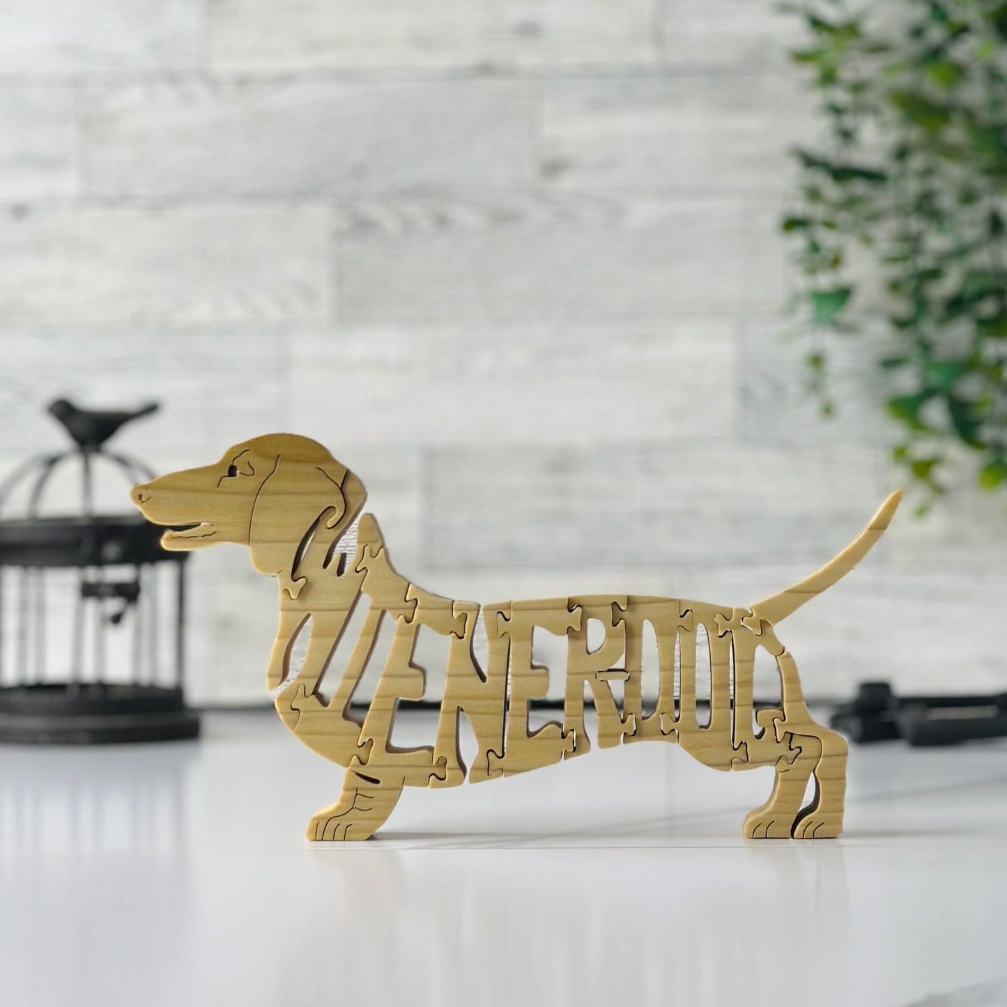 Dachshund (Wiener Dog)